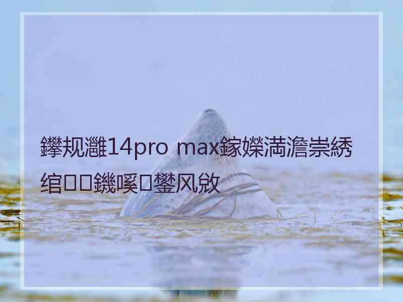 鑻规灉14pro max鎵嬫満澹崇綉绾㈡鐖嗘鐢风敓