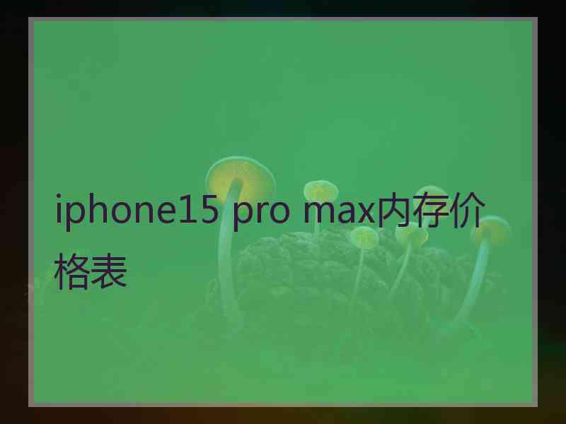 iphone15 pro max内存价格表