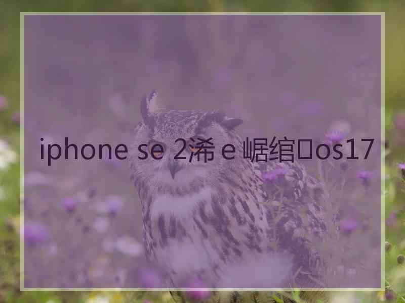 iphone se 2浠ｅ崌绾os17