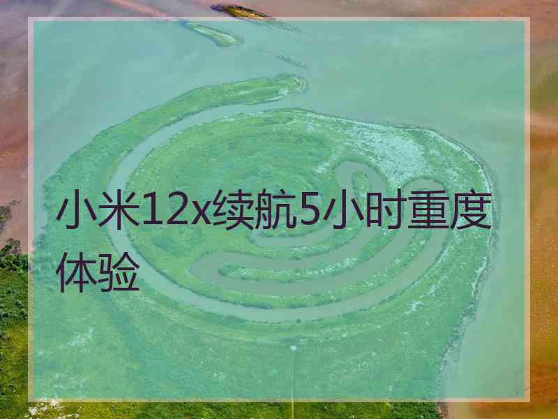 小米12x续航5小时重度体验