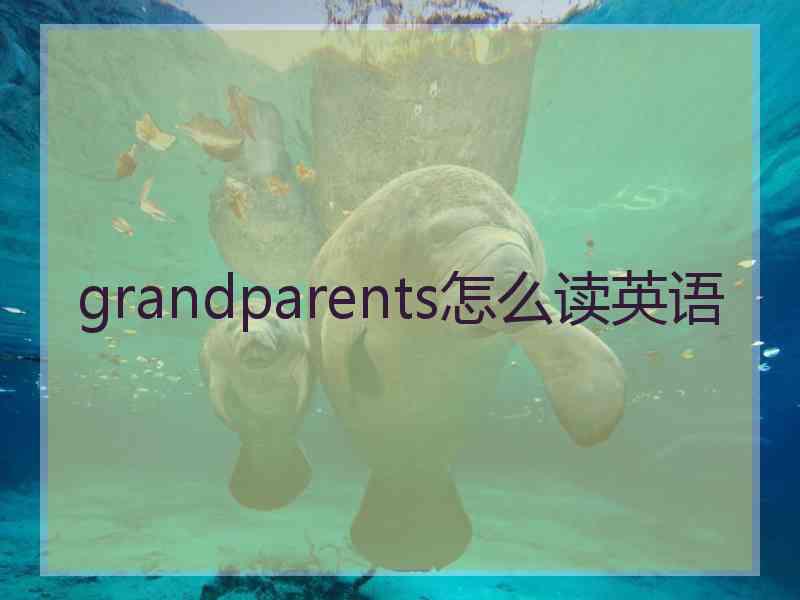 grandparents怎么读英语