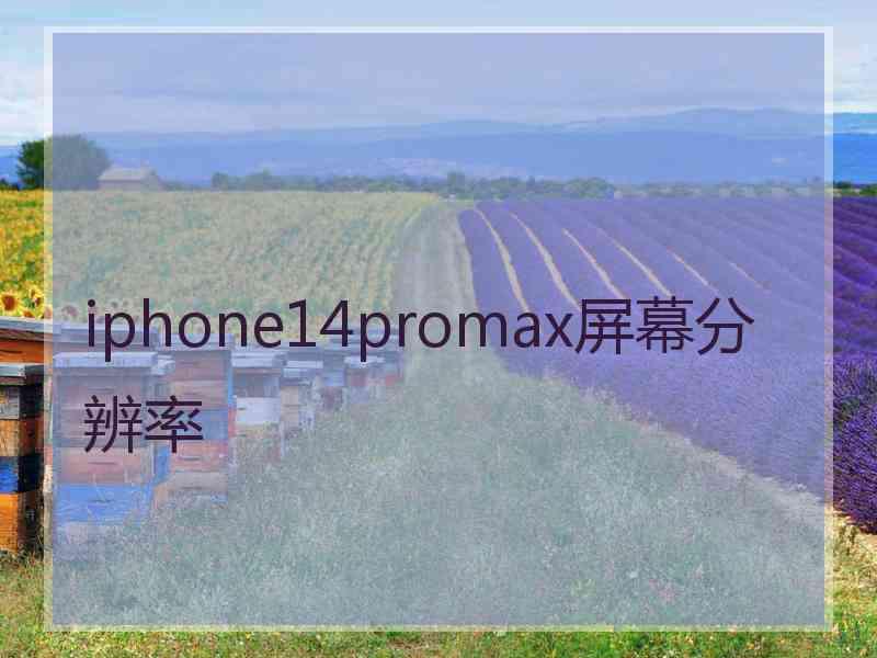 iphone14promax屏幕分辨率