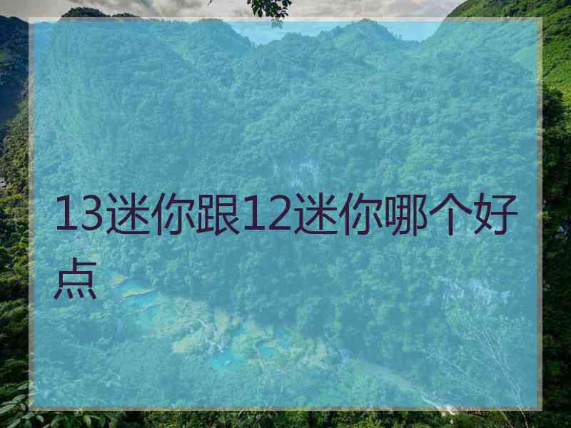 13迷你跟12迷你哪个好点