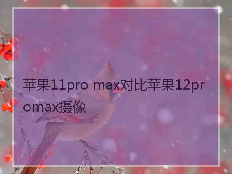 苹果11pro max对比苹果12promax摄像