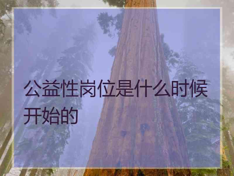 公益性岗位是什么时候开始的