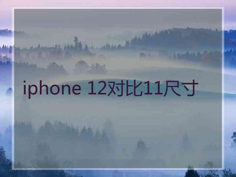 iphone 12对比11尺寸