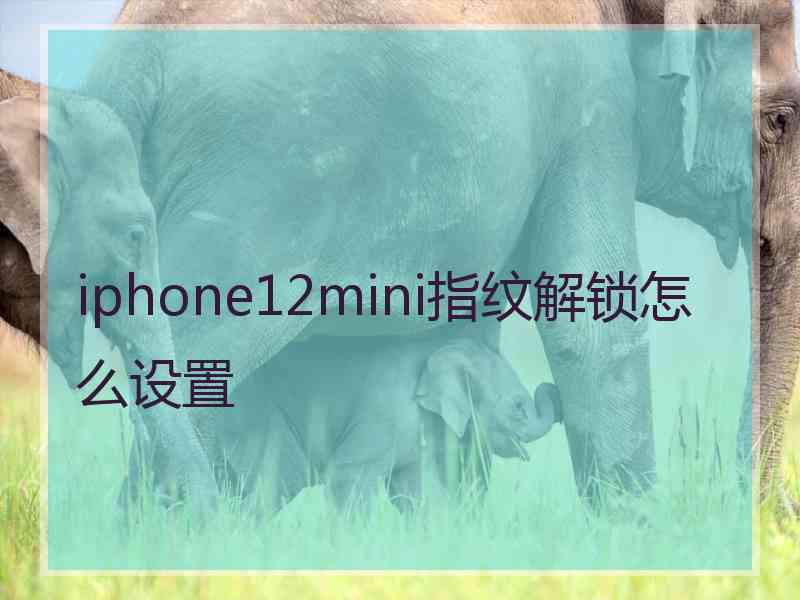 iphone12mini指纹解锁怎么设置