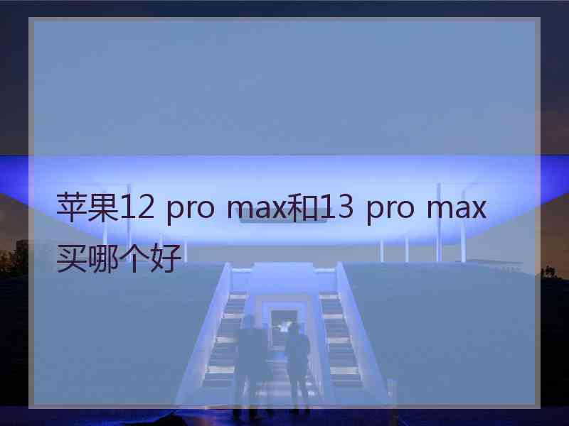 苹果12 pro max和13 pro max买哪个好