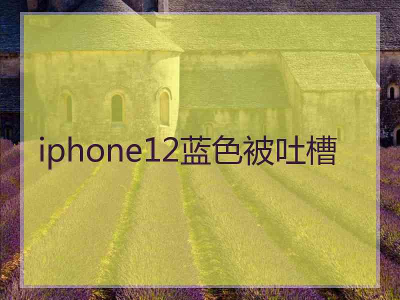 iphone12蓝色被吐槽