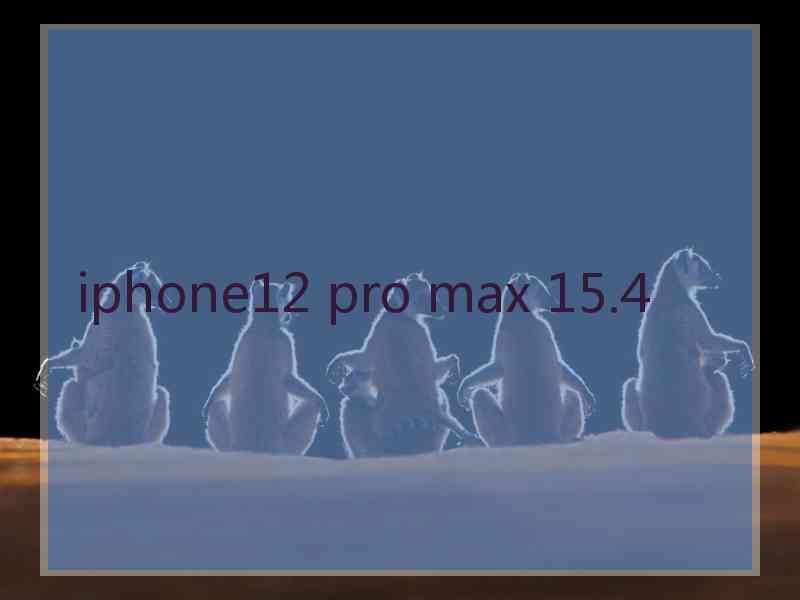 iphone12 pro max 15.4