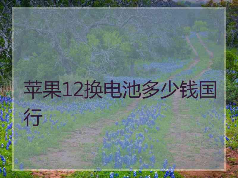 苹果12换电池多少钱国行