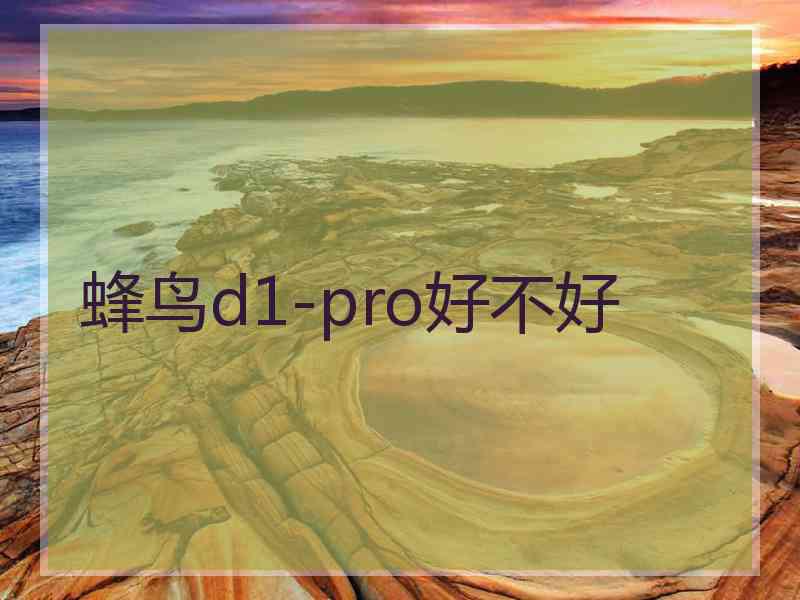 蜂鸟d1-pro好不好