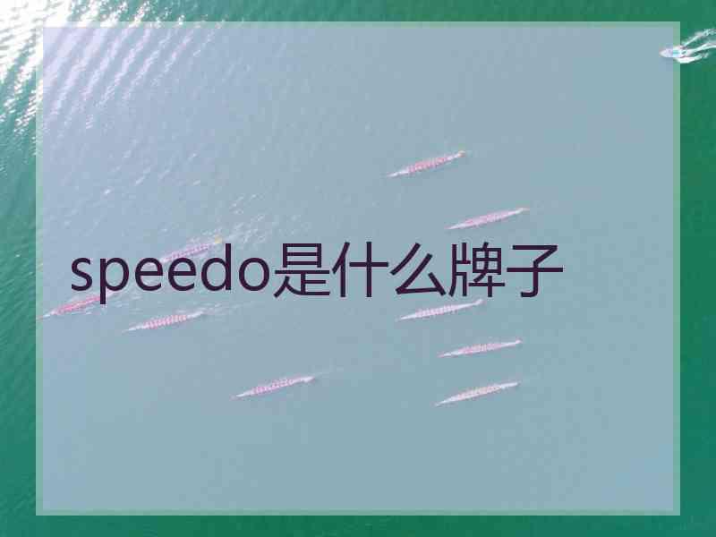 speedo是什么牌子