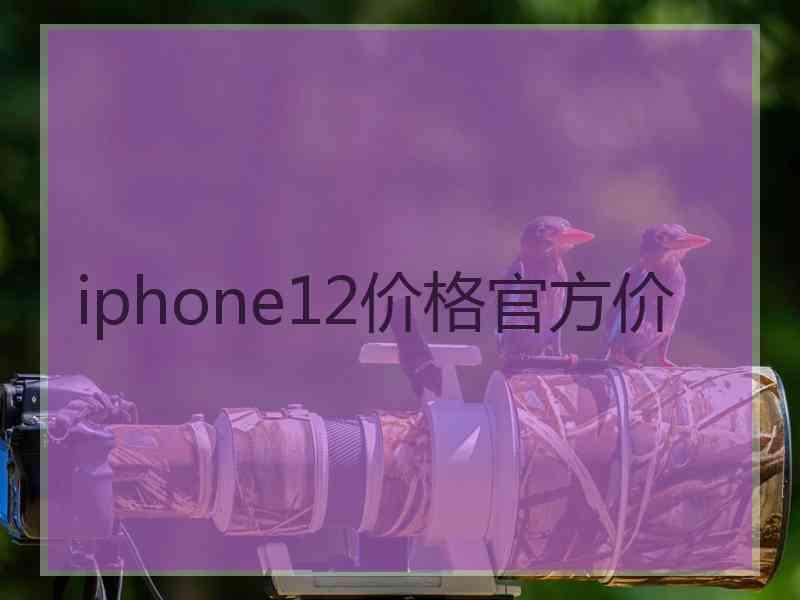 iphone12价格官方价