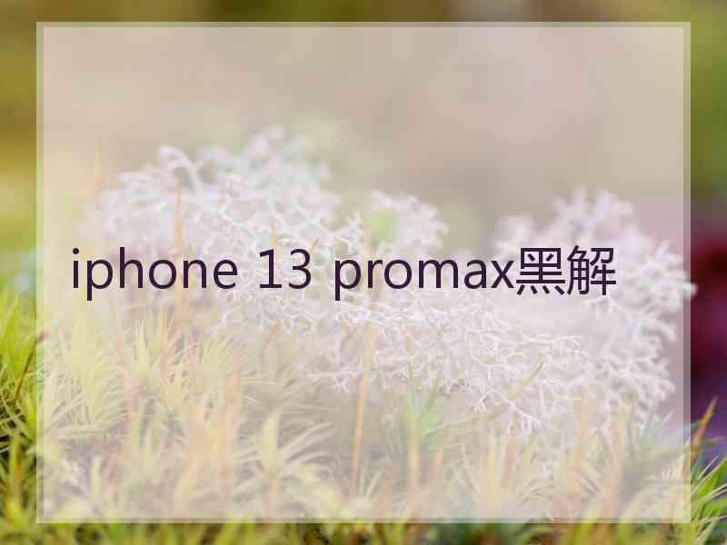 iphone 13 promax黑解