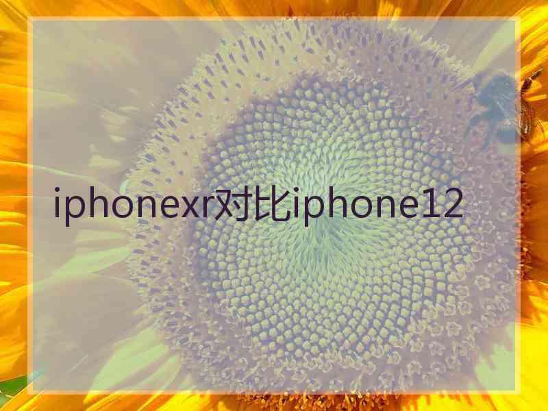 iphonexr对比iphone12