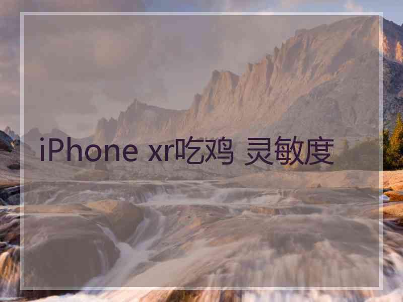 iPhone xr吃鸡 灵敏度