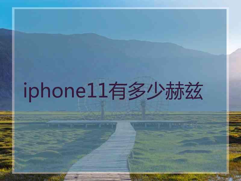 iphone11有多少赫兹