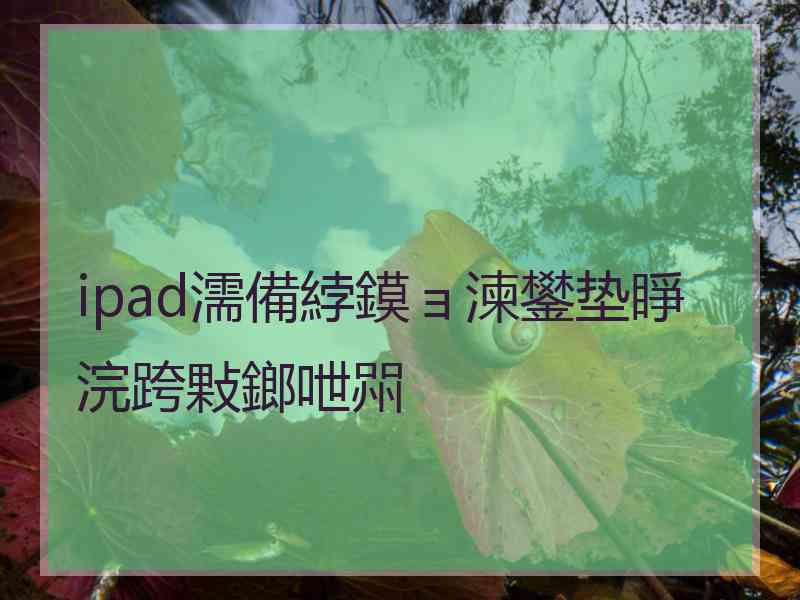 ipad濡備綍鏌ョ湅鐢垫睜浣跨敤鎯呭喌