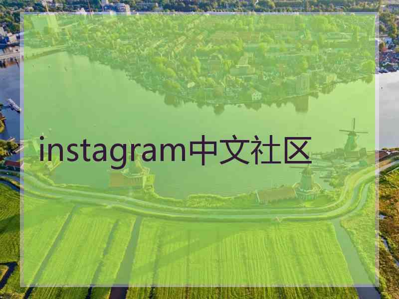 instagram中文社区