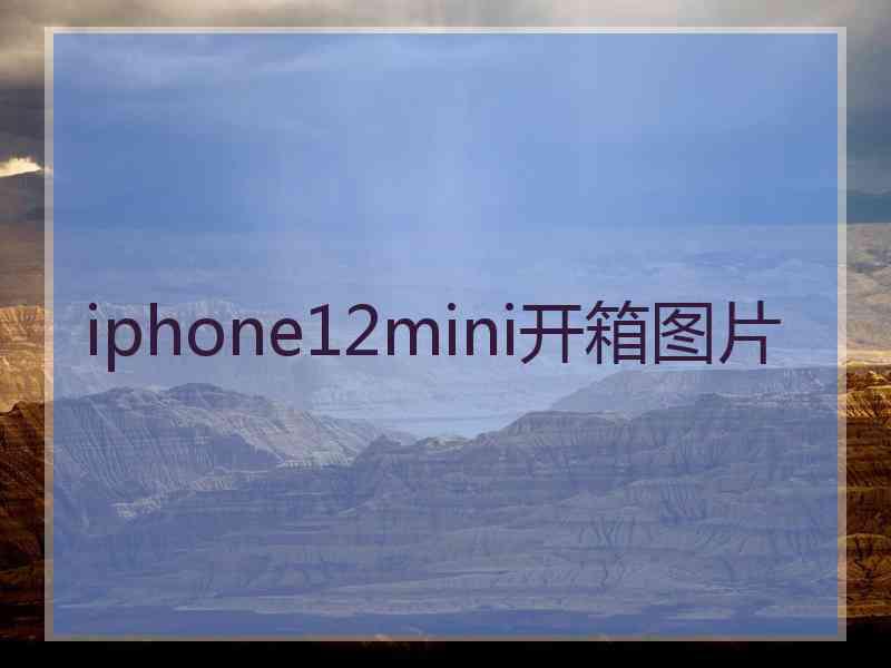 iphone12mini开箱图片