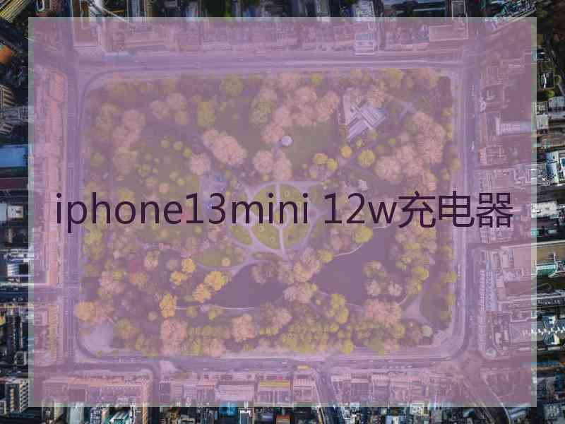 iphone13mini 12w充电器