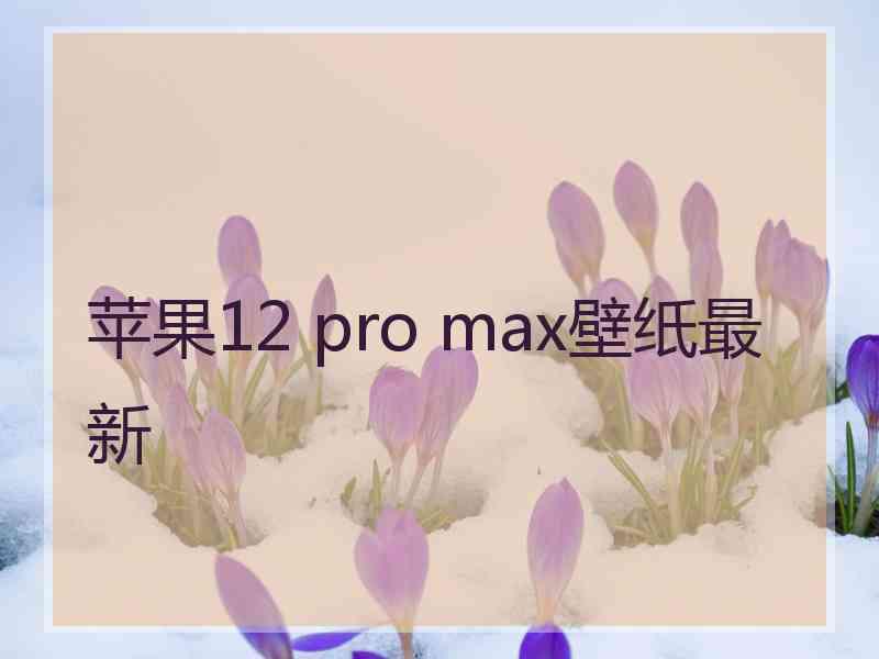 苹果12 pro max壁纸最新