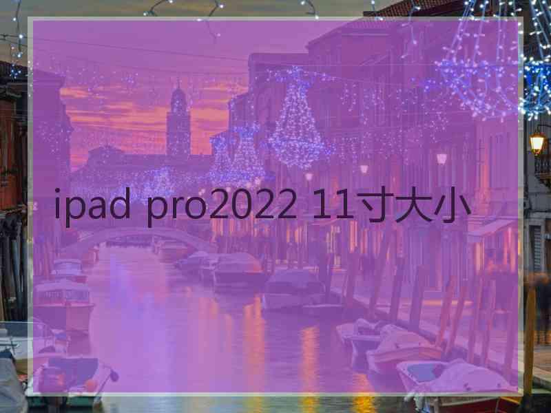 ipad pro2022 11寸大小