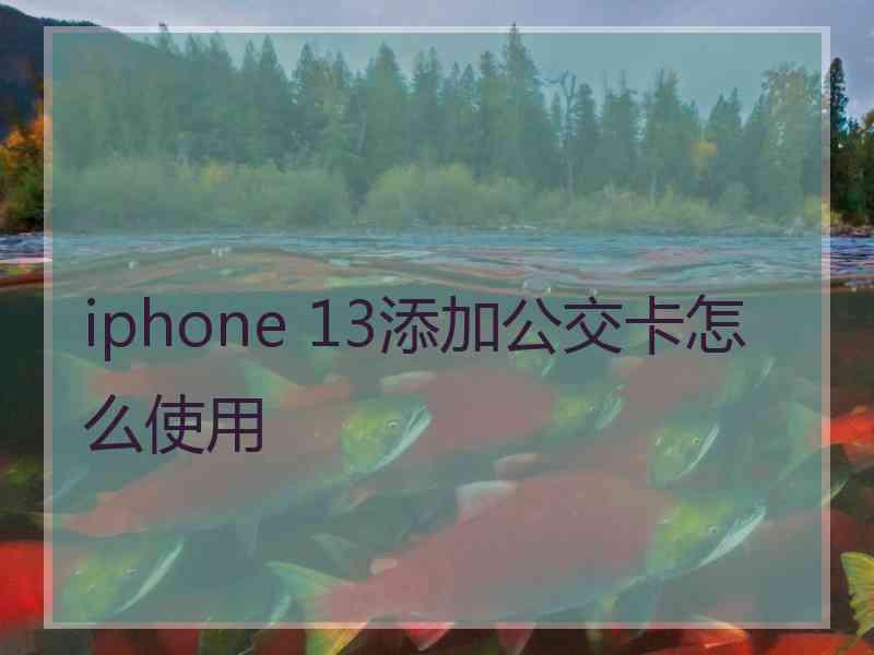 iphone 13添加公交卡怎么使用