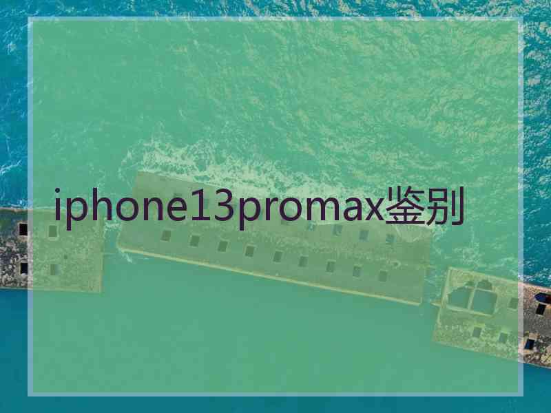 iphone13promax鉴别