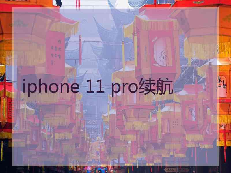 iphone 11 pro续航