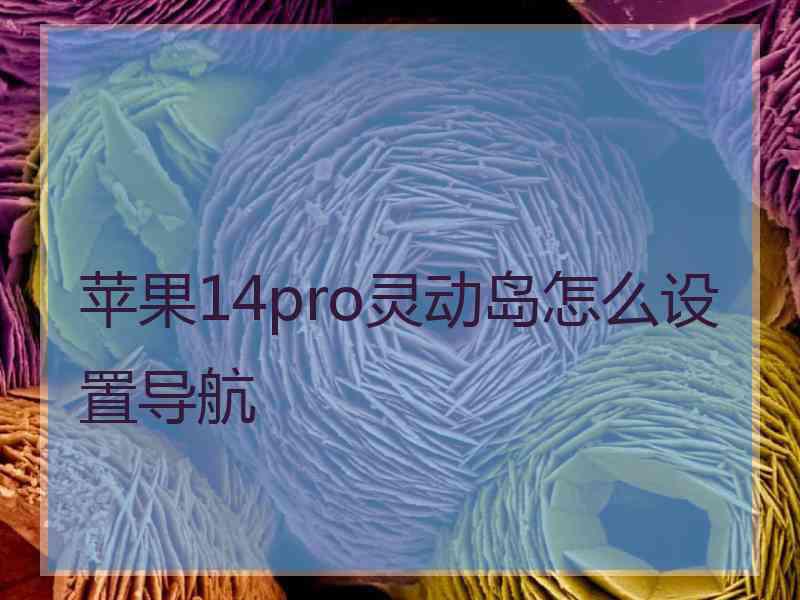 苹果14pro灵动岛怎么设置导航