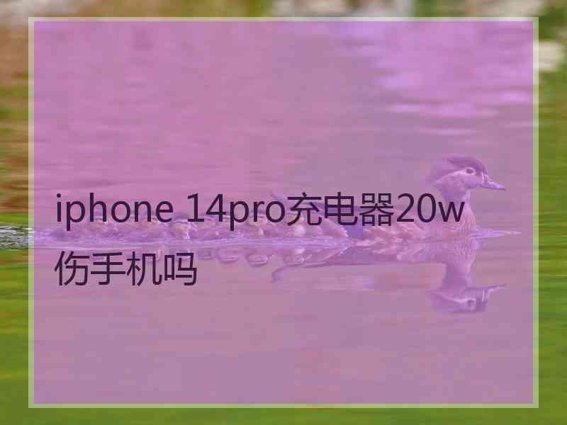 iphone 14pro充电器20w伤手机吗