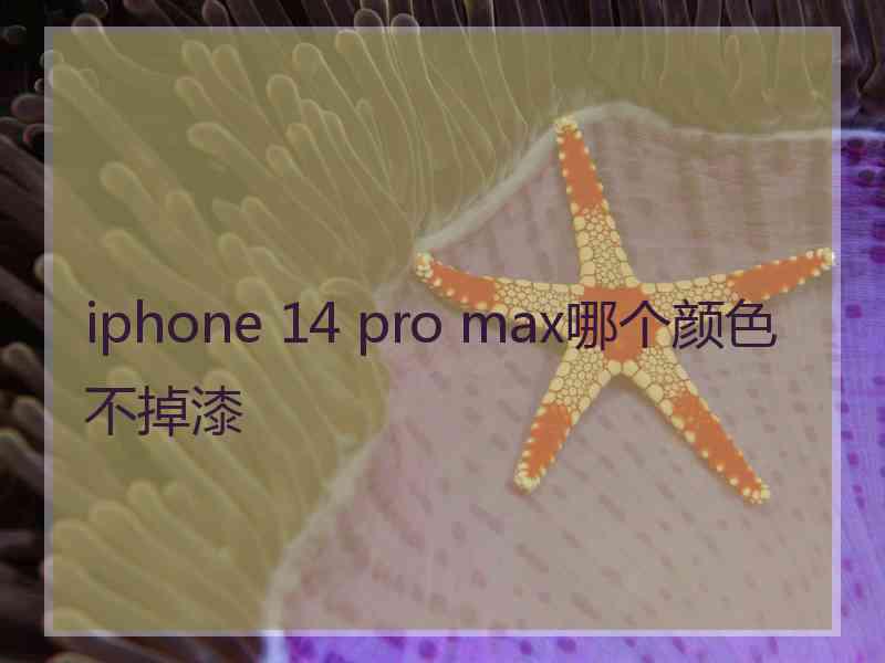 iphone 14 pro max哪个颜色不掉漆