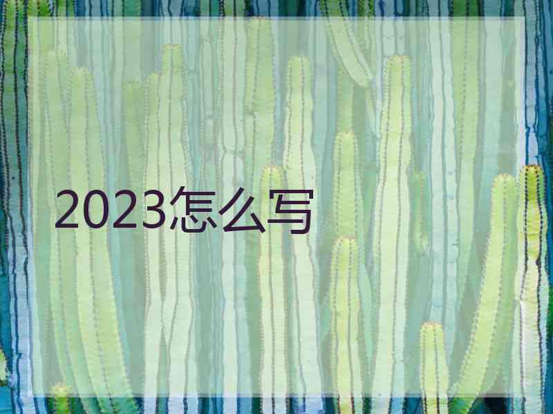 2023怎么写