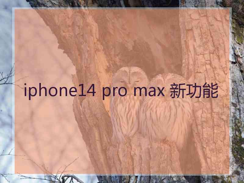 iphone14 pro max 新功能