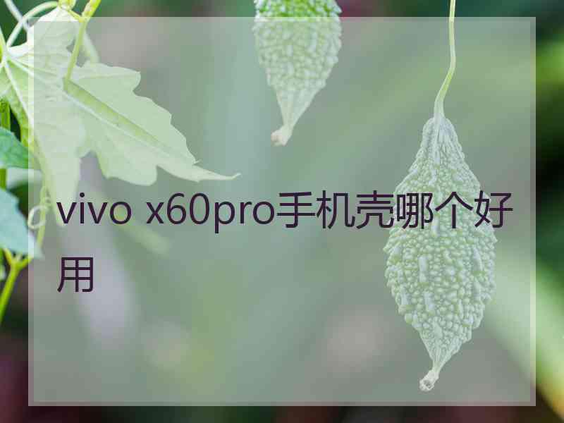 vivo x60pro手机壳哪个好用