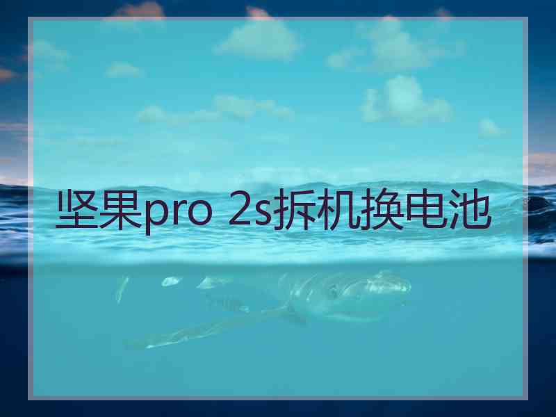 坚果pro 2s拆机换电池