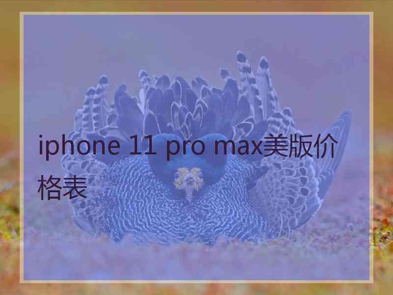 iphone 11 pro max美版价格表