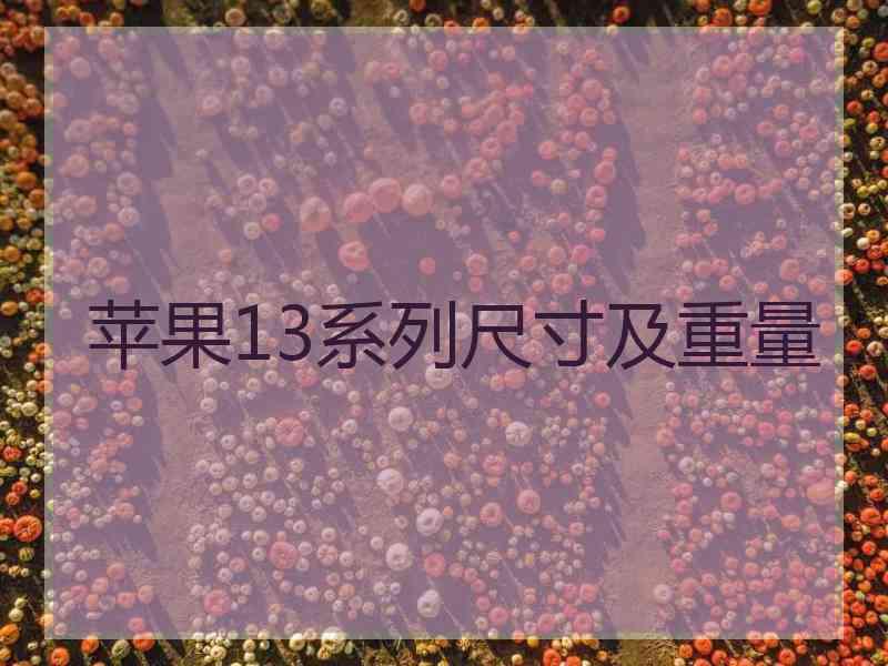 苹果13系列尺寸及重量