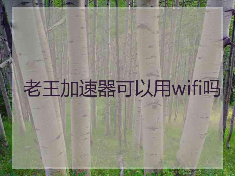 老王加速器可以用wifi吗