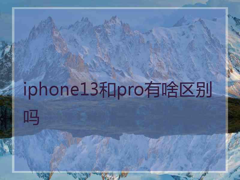 iphone13和pro有啥区别吗