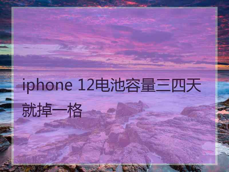 iphone 12电池容量三四天就掉一格