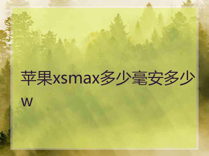 苹果xsmax多少毫安多少w