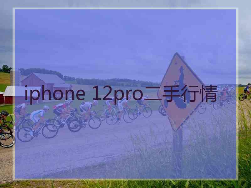 iphone 12pro二手行情