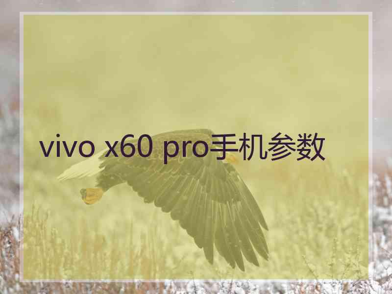 vivo x60 pro手机参数