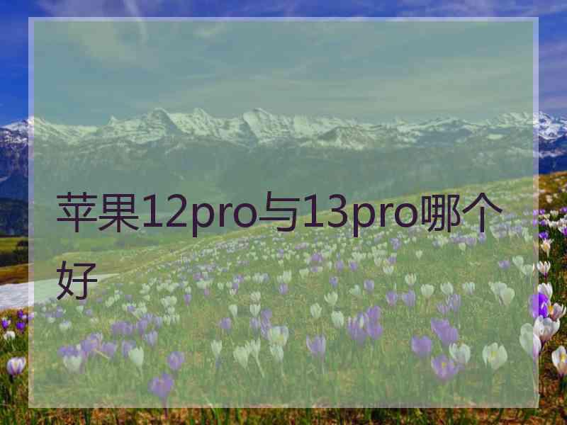 苹果12pro与13pro哪个好