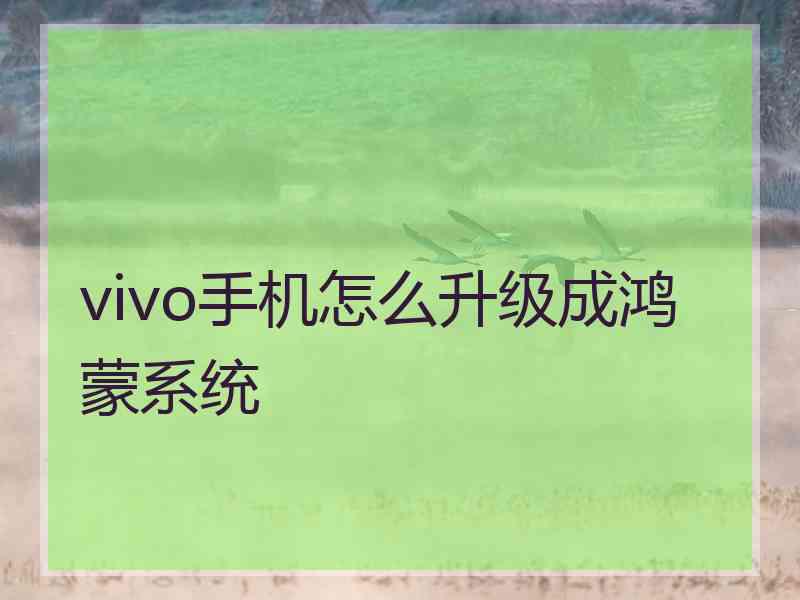 vivo手机怎么升级成鸿蒙系统