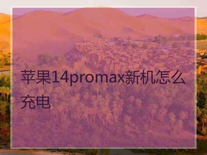 苹果14promax新机怎么充电