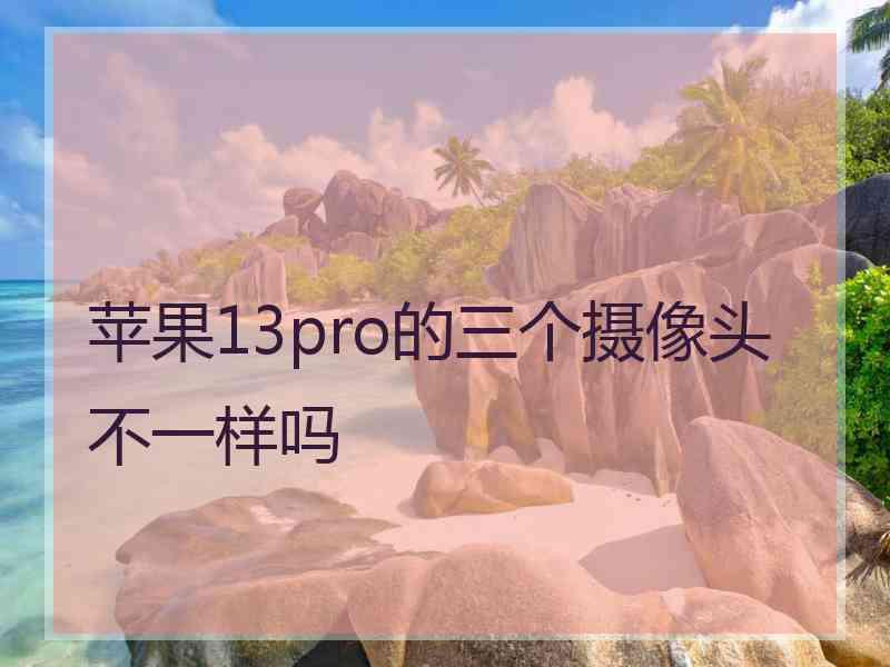 苹果13pro的三个摄像头不一样吗